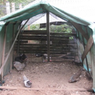 Covered Shelter