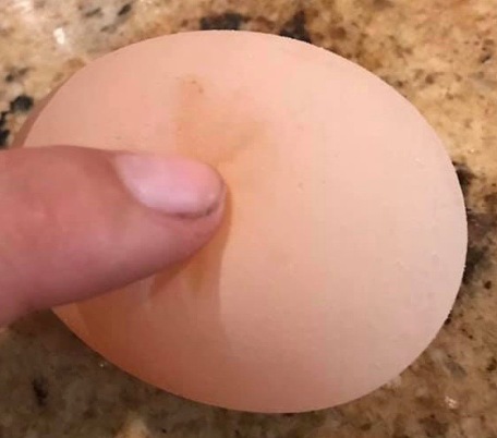 Soft Shelled Egg