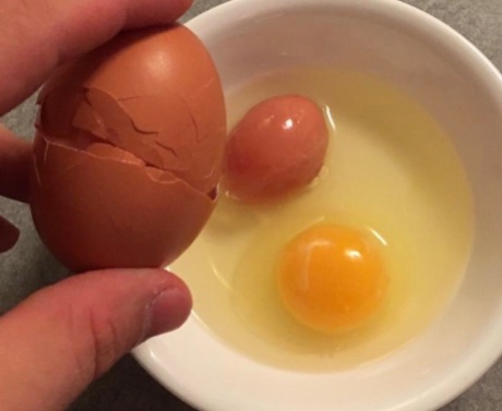Egg Within Egg