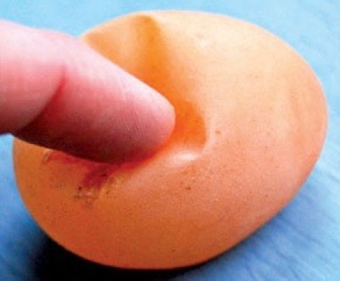 Soft Shelled Egg