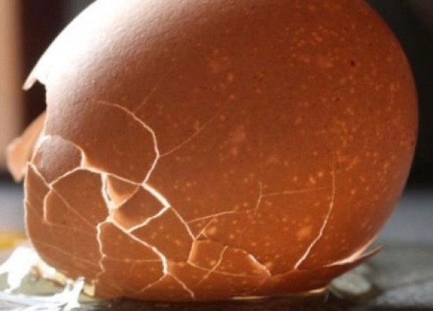 Thin Shelled Egg (Helen Cassidy)