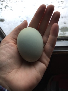 First Green Egg