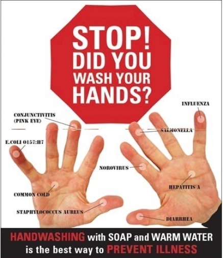 Did You Wash Your Hands?