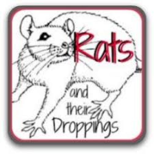 Rats And Their Droppings