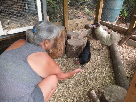 Laura Feeding Chickens